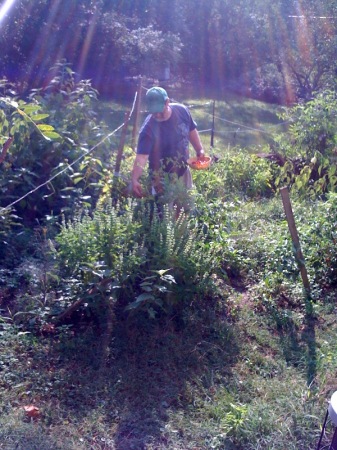 garden boy