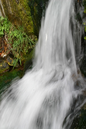 North Etiwanda Preserve 054