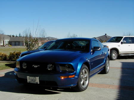 My Mustang