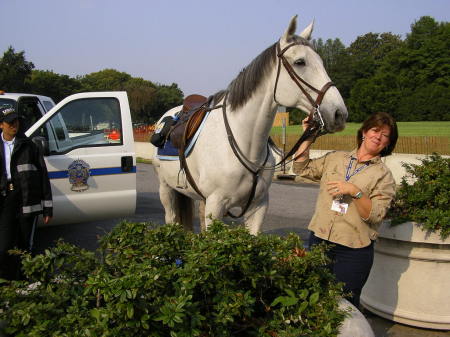 Park Police horse and I in DC