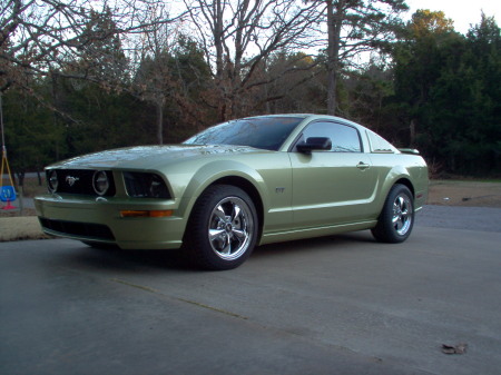 mustang pictures 001