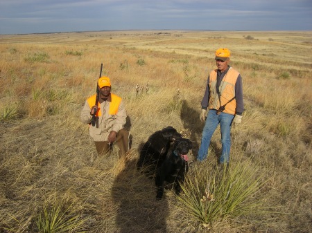 Pheasant Hunting