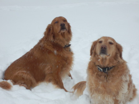 winter 2009 Apollo and Athena