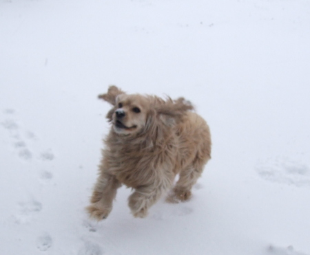 Enjoying the snow