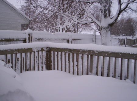 Snow 2010