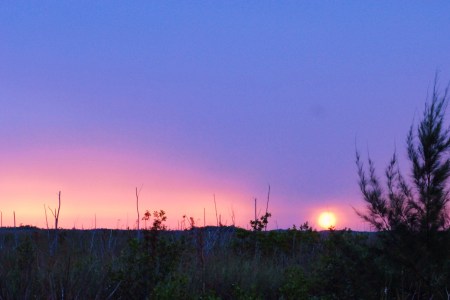 Everglades Sunset