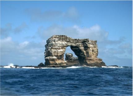 Darwin's Arch