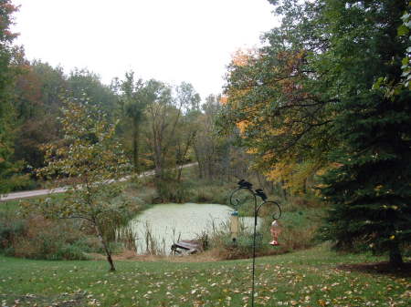 The Pond