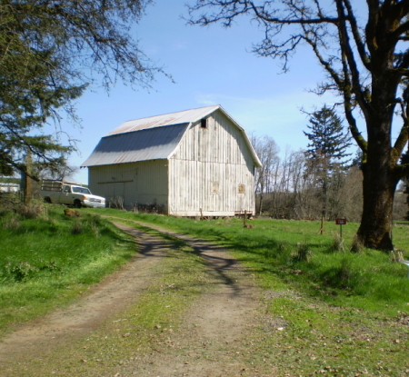 Barn from the house