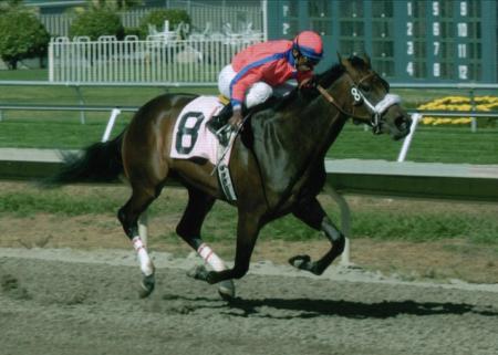 Frank Alvarado is the Jockey