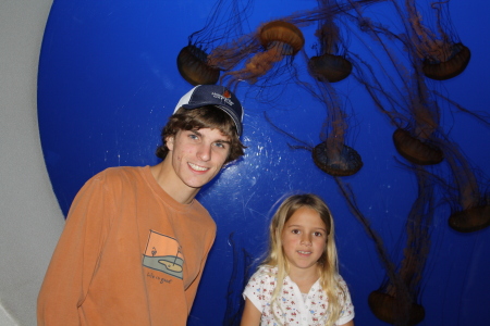 The jellies