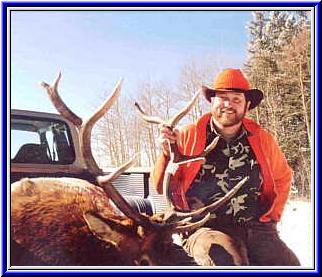 Elk hunting in Colorado