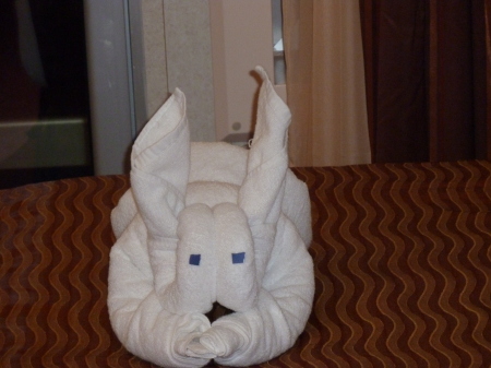 Cabin Steward made animals from towels daily