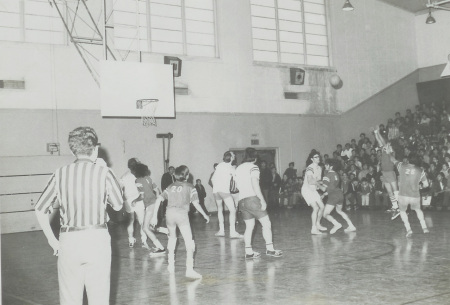 Belvedere Basketball Game