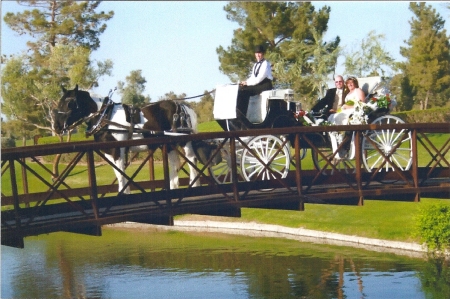 One of my Carriages at Ocotillo Golf Club