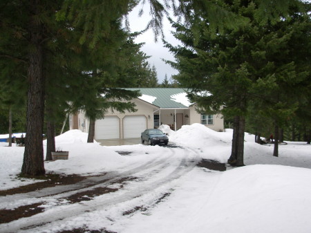 March 2009 snow