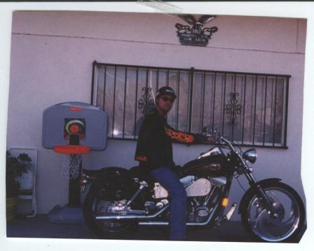 my harley 2009