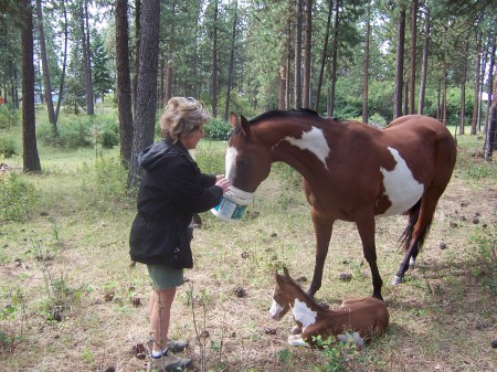 Summer and Nugget