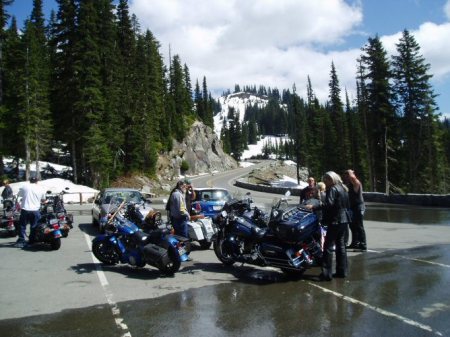 Chinook Pass in June