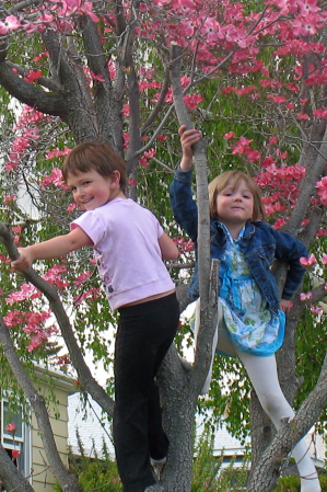 Girls in a tree.