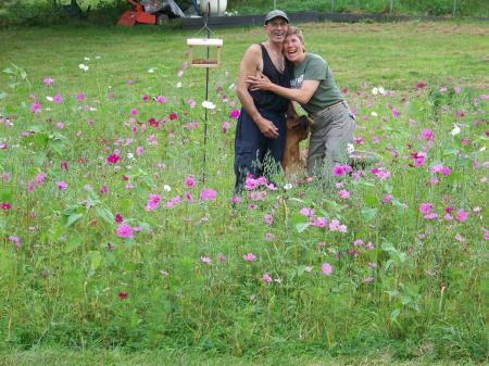 wildflower bed