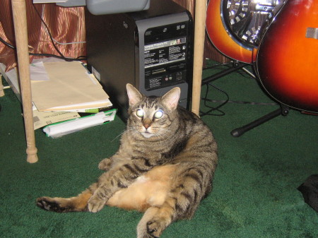 Oswald sitting in the studio.