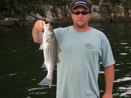 pickwick striper