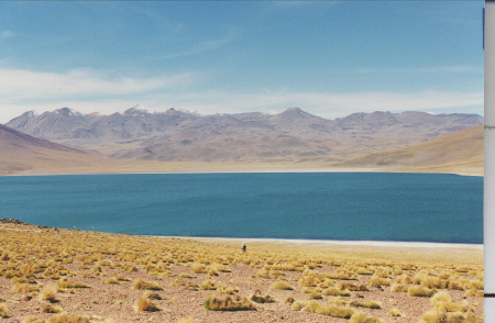 A saline lake near San Pedro de Atacama, Chil