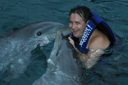 Swimming with Mexican dolphins