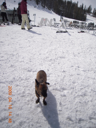 Mandy in Mammoth 09