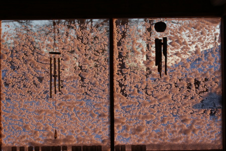 Snow as seen through screened porch
