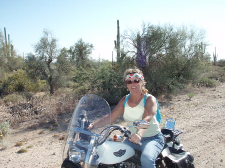 Sonoran Desert, AZ, April 2009