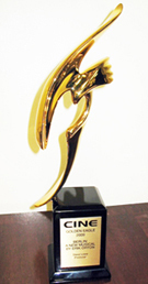 2009 Cine Golden Eagle for "Berlin"