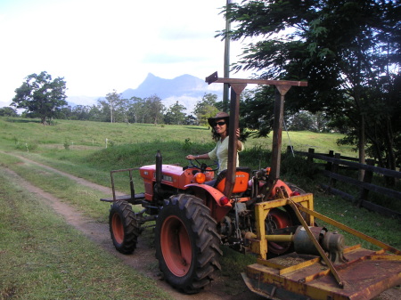 Mowing the lawn