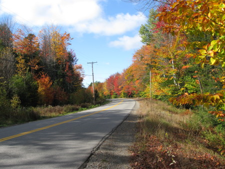 Maine in the Fall