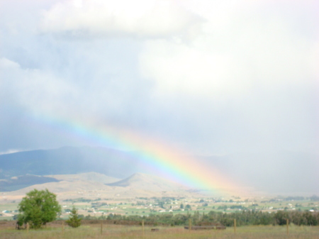 Montana Rainbow