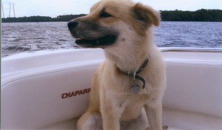 Gabby on boat