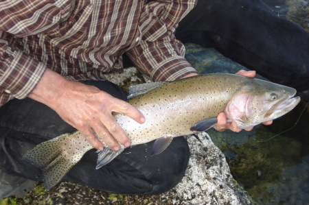 Catch and release at my favorite spot