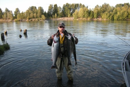 Coho Salmon