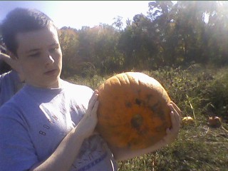 cam08 pumpkin patch