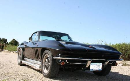 65 StingRay4