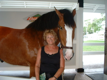 Maria and Clydesdale