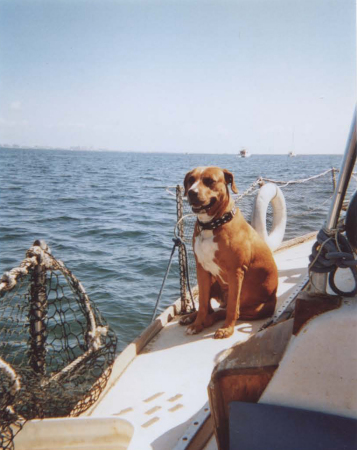 First Mate Misty