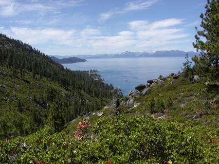 Tunnel Creek Road View