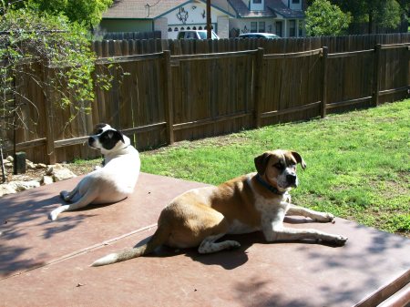 Troy and Cowboy sitting on the hot tub