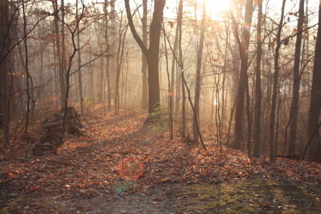 Rocky Fork Morning