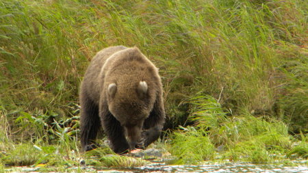 bearclaw lodge 005