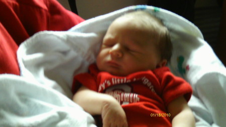 My Little Buckeye