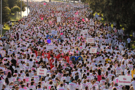 Race for the Cure - Sacramento~2009