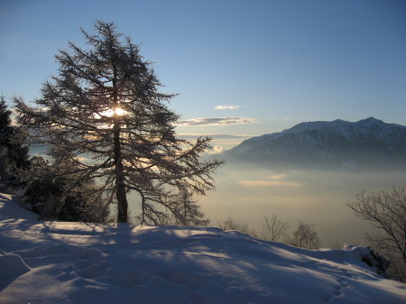 Ticino in winter, New Year's Day 2009